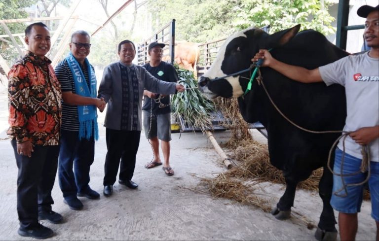 WhatsApp Image 2023-06-30 at 10.48.05